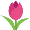 Tulpe Emoji 🌷 image - EmojiTwo style