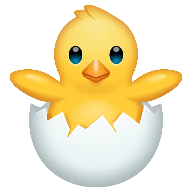 Hatching Chick