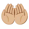 Palms Up Together: Medium-Light Skin Tone Emoji 🤲🏼 image - Google Noto Color Animated style