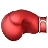 Boxhandschuh
