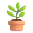 Potted Plant