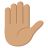 Raised Hand: Medium Skin Tone Emoji ✋🏽 image - EmojiTwo style