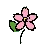 桜の花