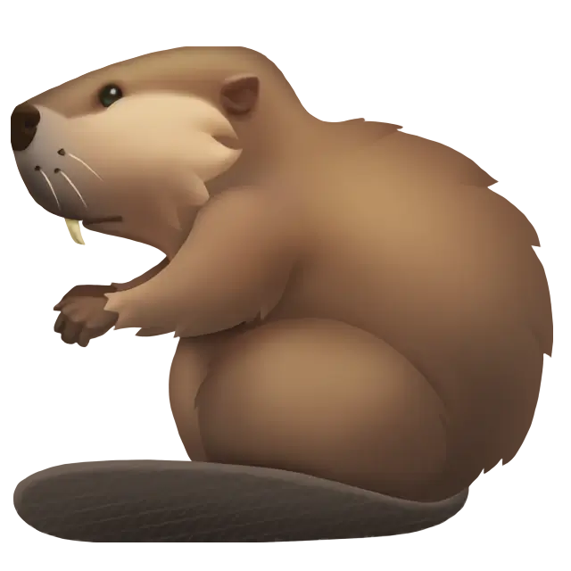 Beaver