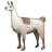 lama