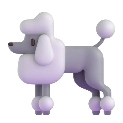贵宾犬