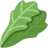 Leafy Green