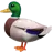 鸭