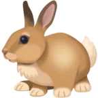 토끼