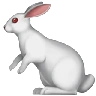 Cattolico di Pasqua