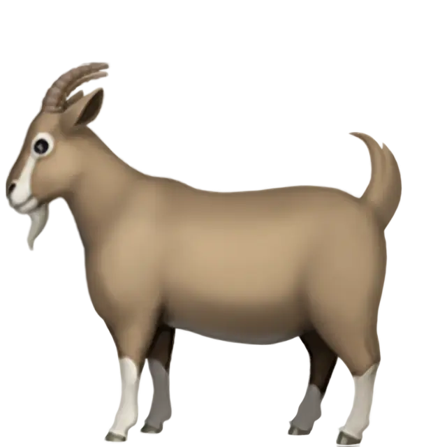 Goat