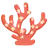 Coral