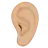 Ear: Medium-Light Skin Tone