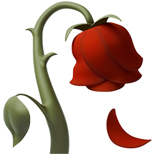 Wilted Flower