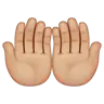 Palms Up Together: Medium-Light Skin Tone Emoji 🤲🏼 image - WhatsApp style