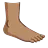Foot: Medium Skin Tone
