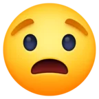 Worried Face