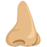Nose: Medium-Light Skin Tone Emoji 👃🏼 image - Facebook Messenger (2016) style