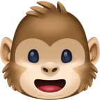 Monkey Face