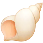 Conchiglia a spirale