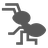 Ant
