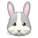 Cara de conejo