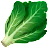 緑豊かな緑