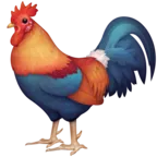 Rooster