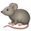Ratte
