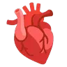 Anatomical Heart Emoji 🫀 image - Google Noto Color Animated style