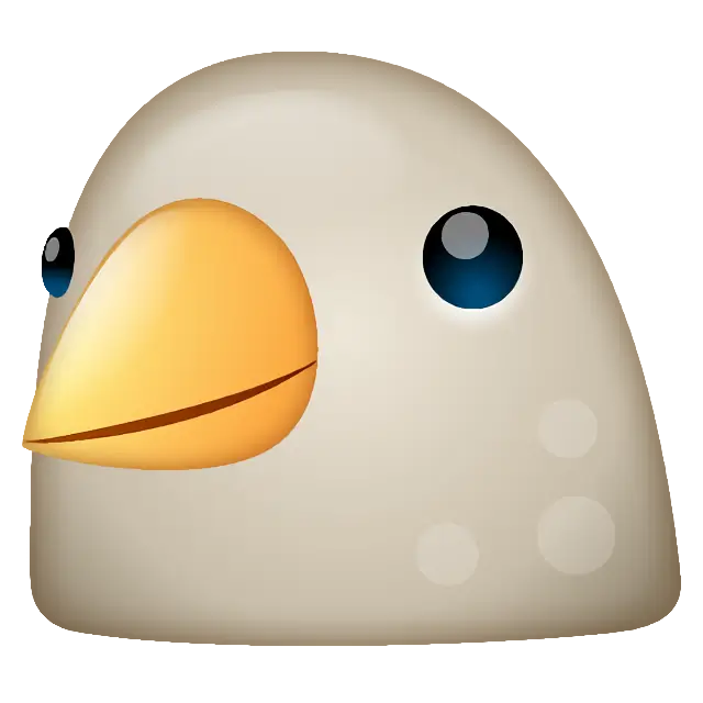 鸟