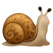 Snail
