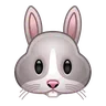 Cara de conejo