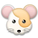 Hamster