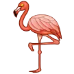 火烈鳥