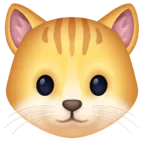 Cat Face