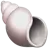 Conchiglia a spirale
