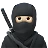 Ninja: Light Skin Tone