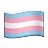 Transgender Flag