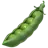 豌豆莢