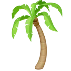 Palm Tree