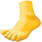 Foot