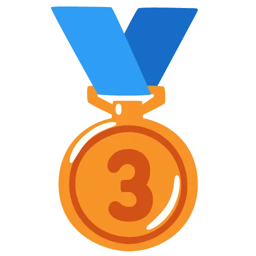 3Rd Place Medal