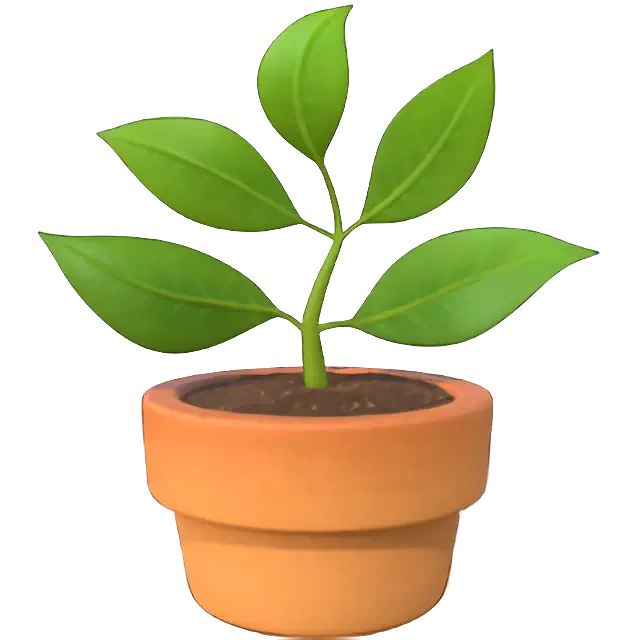 Potted Plant