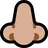 Nose: Medium-Light Skin Tone