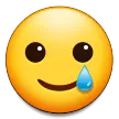 Lächelndes Gesicht mit Träne