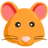 Hamster Yüzü