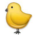 Baby Chick