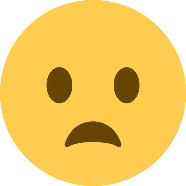 Frowning Face With Open Mouth