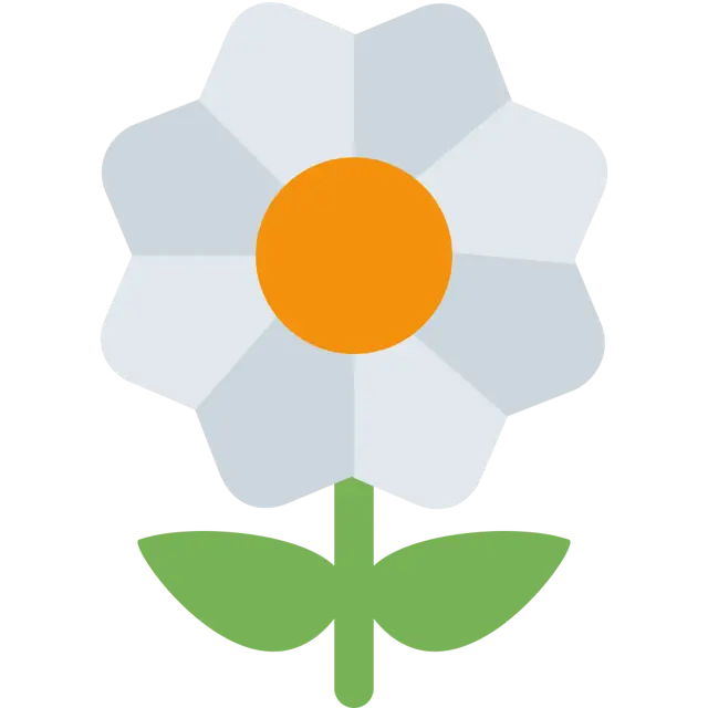 Blossom